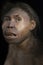 Homo erectus georgicus