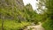 Homole gorge in Pieniny mountains, Poland