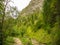 Homole gorge in Pieniny mountains, Poland