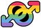 Homosexual lgbtqi rainbow color male mark vector