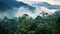 honduras honduran cloud forest
