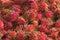 Honduras market exotic fruit closeup lychee lichas