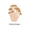 Honey agaric mushrooms isolated on white background, vector illustration in flat design.