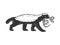 Honey badger ratel sketch vector illustration