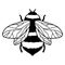 Honey bee or bumble isolated on white. Insect in hand drawn style. Vector monochrome illustration .