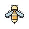 Honey bee, colorful thin line flat style icon