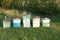 Honey bee farming boxes and bee-keeping equipment