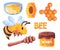 Honey bee illustration set drawing cartoon of honeycomb spoon jar
