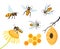 Honey bee isolated cartoon set. Honey and hand drawn insect colorful set. Honeycomb and bees vector icons.