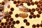 Honey bees work on its honeycomb, apis cerana indica.