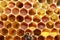 Honey bees work on its honeycomb, apis cerana indica.