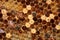 Honey bees work on its honeycomb, apis cerana indica.