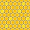 Honey Comb Colorful Pattern