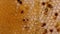 Honey comb. fragment of honeycomb, Abstract background.