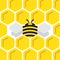 Honey comb hexagonal background with stylized bee