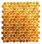 Honey combs on white background