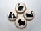 Honey cookies collection with pictures of cats and dogs on the plate