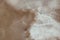 Honey cream agate stone texture, close up agate translucent gemstone surface