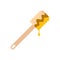 Honey dipper flat icon