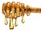 Honey dipper (stick) with large drops of honey on a white background.