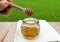 Honey Dipping with honey in glass jar on natural background macro,Wooden honey dipper.