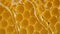 Honey dripping from honeycombs extreme macro.Natural bees wax cells, gold elixir