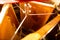 Honey extractor on the bee farm. Inside view. Three honeycombs are arranged in a circle