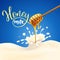 Honey falling and splashing in the milk product product