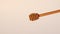 Honey falls on honey dipper on beige background