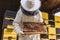 Honey farmer standing in front of beehives, holding a hive frame