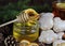 Honey with gingerbreads and tea, fir-tree branches, cones