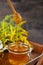 Honey in a glass jar with a wooden spoon. Still life on a wooden table with yellow flowers Goldenrod. Healthy sweet food