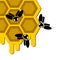 Honey hive illustration