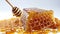 Honey and honey collection Designed in shape to be in line with the bee\\\'s nest.