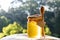 Honey with honey dipper and wooden stick. Organic floral honey against blurred background