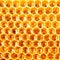 Honey in honeycomb closeup