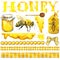 Honey, honeycomb, honey bee. Set for design label products from honey. Watercolor illustration