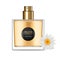 Honey infused perfume Vector realistic. Product placement mock up. Bottle perfume isolated on white. 3d illustrations