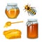 Honey in jar, bee and hive, spoon and honeycomb, hive and apiary. natural farm product. beekeeping or garden. Health