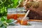 Honey in a jar and Honeycomb on the background of linden trees