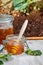 Honey in a jar and honeycomb with linden tree