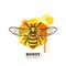 Honey label, emblem, tag design elements. Vector hand drawn outline honeybee on watercolor honeycombs.