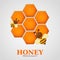 Honey label premium quality title. Paper cut style bee with honeycombs and Bee. Template design for beekeeping and honey product.