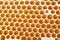 Honey making in honeycombs