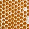 Honey making in honeycombs