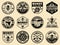 Honey monochrome vector badges, emblems, labels