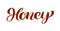 Honey red calligraphy lettering text. Vector bee hand lettering word in black color isolated on white background