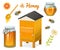 Honey set, bee and hive, spoon and honeycomb, hive and apiary. natural farm product. beekeeping or garden, flower