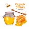 Honey set. Vector illustration in flat style. Bee, honeycomb, wooden honey dipper, glass jar full of honey.