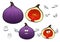 Honey sweet fig fruit cartoon characters